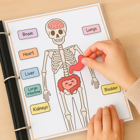 Interaktywna Książeczka O Ludzkim Ciele | Edukacja Dla Dzieci 0.5kg 3