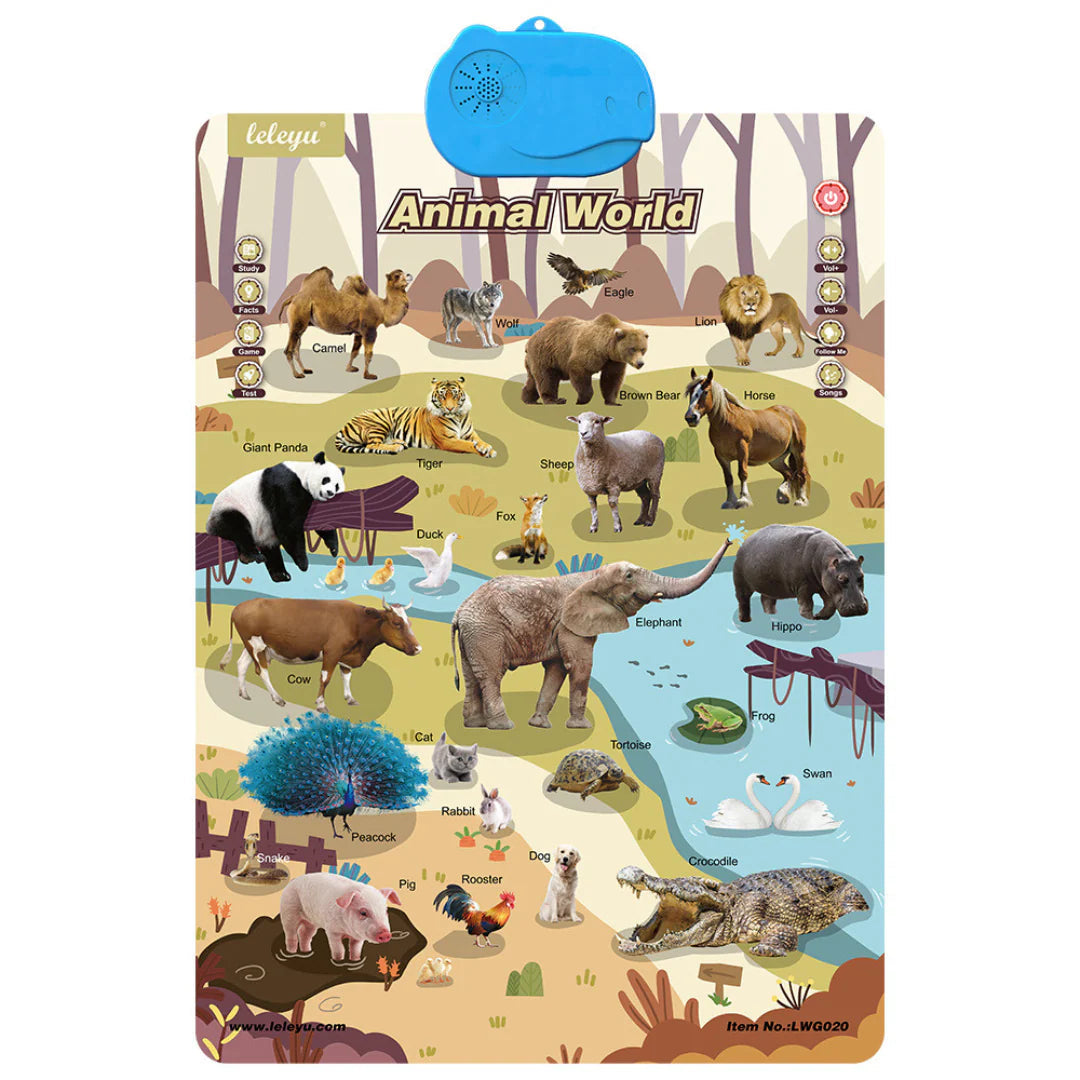 Mówiąca Tablica Edukacyjna Dla Dzieci | Interaktywny Angielski 0,5 kg 0