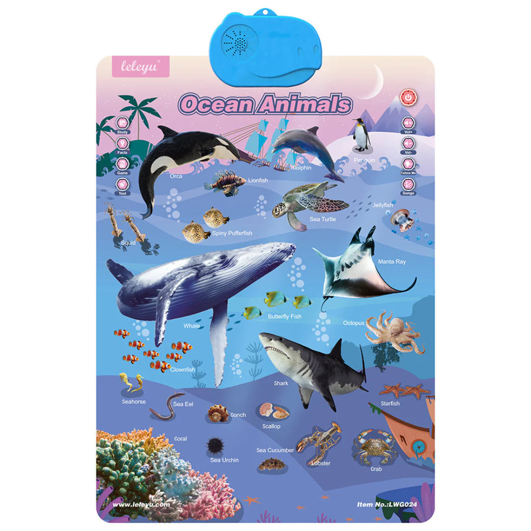 Mówiąca Tablica Edukacyjna Dla Dzieci | Interaktywny Angielski 0,5 kg 10